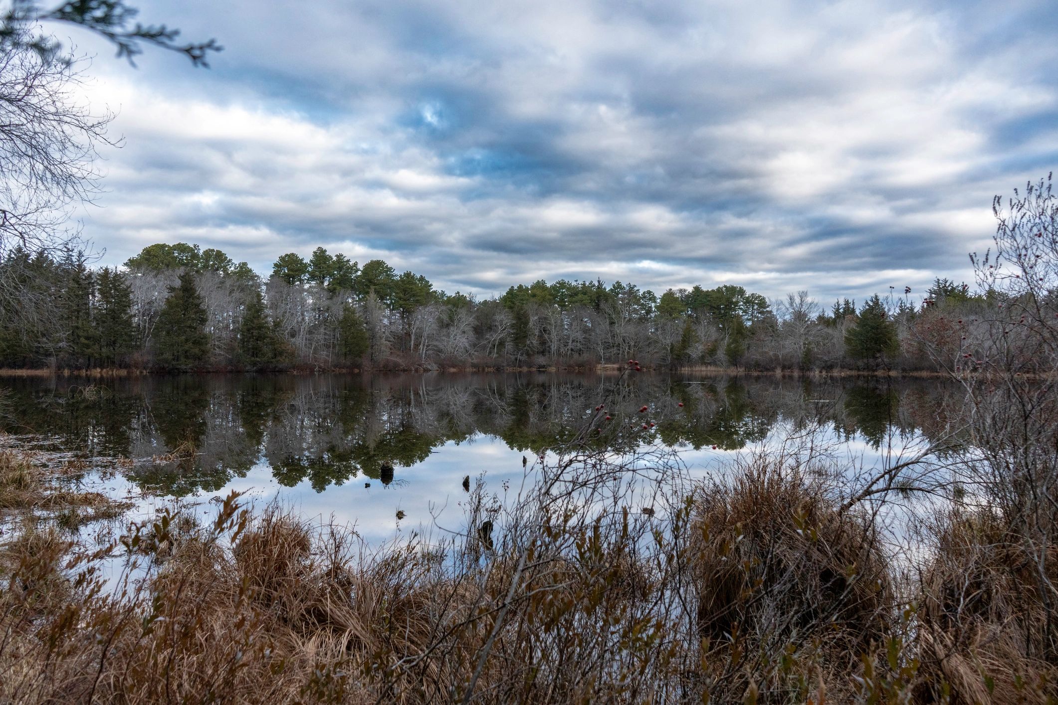Pine Barrens historic exhibit